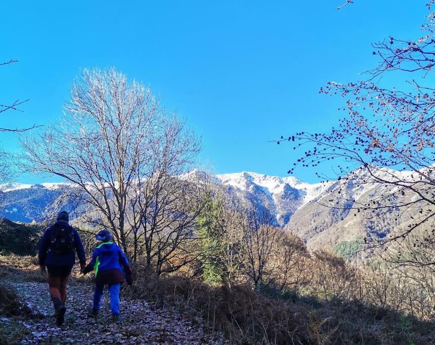 Maison 13 Pers A 10Mn De Luchon Cazaux-Layrisse 외부 사진