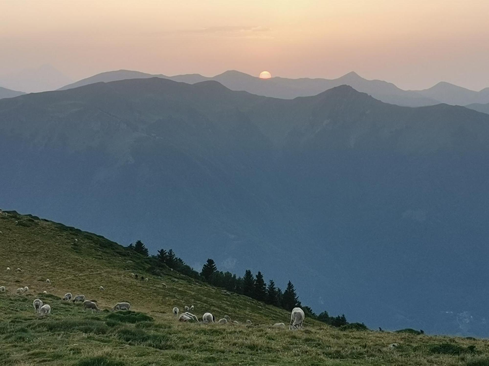 Maison 13 Pers A 10Mn De Luchon Cazaux-Layrisse 외부 사진
